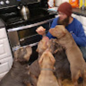 Meet your Posher, Bill